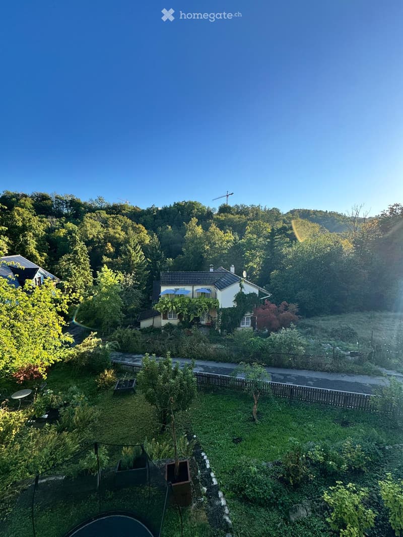 A lush garden area with various plants, trees, and a small house in the background, surrounded by greenery and a clear blue sky.