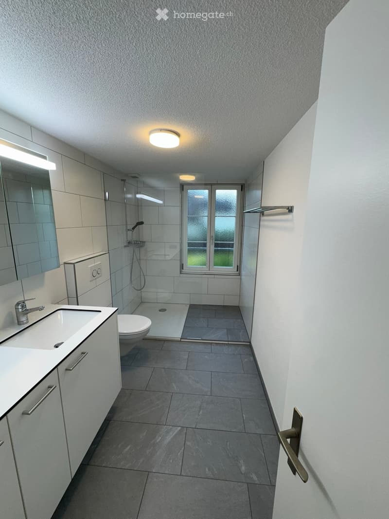 Modern bathroom with grey tiled floor, white walls, sink, toilet, shower, and large mirror.