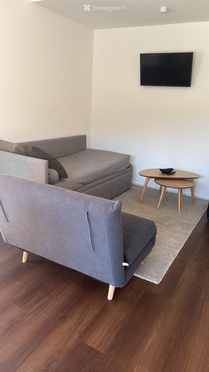 Modern living room with a grey sofa, a small wooden table, a TV mounted on the wall, and a bed with pillows.