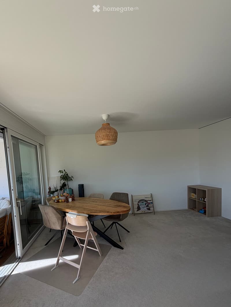 Dining area with a round wooden table, four chairs, a hanging woven lamp, a small shelf, and a plant near the sliding glass door.