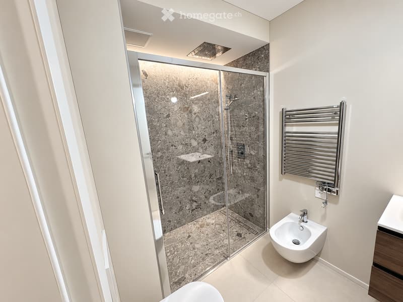 Modern bathroom with a glass-enclosed shower, a white bidet, a radiator, and a sleek faucet.