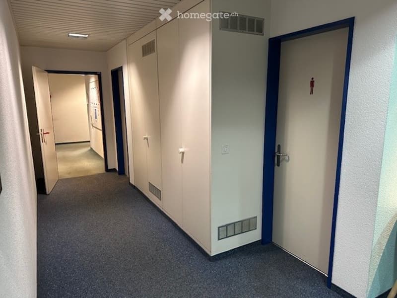 long hallway, white cabinets, blue borders on walls, carpeted floor, white door with silver handle, power outlet, hallway with light