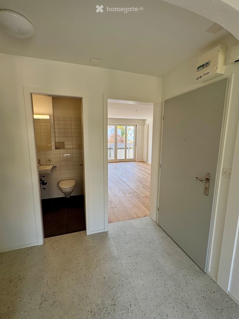 Empty hallway with light-colored walls and speckled concrete floor, leading to a bathroom and a room with wooden flooring and large windows.