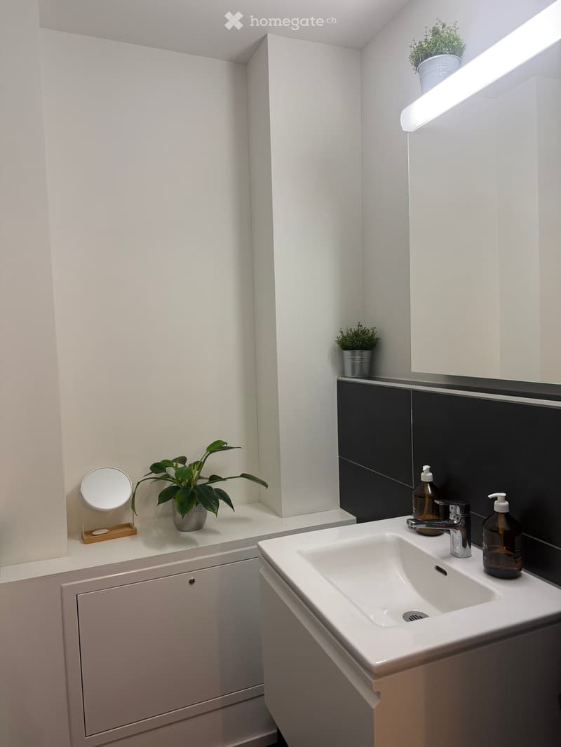 Modern bathroom with white walls, a white sink, a chrome faucet, a small cabinet, and decorative plants on the windowsill.
