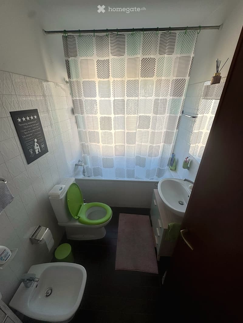 Bathroom with a toilet, sink, bathtub, and shower curtain. Includes a bathroom cabinet, rug, and toilet paper holder.