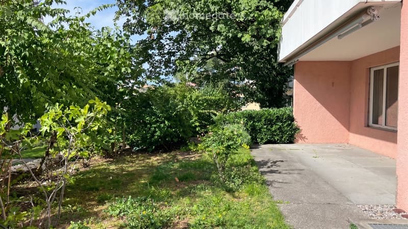 Garden area with a concrete pathway leading to a house, surrounded by trees, shrubs, and grass.