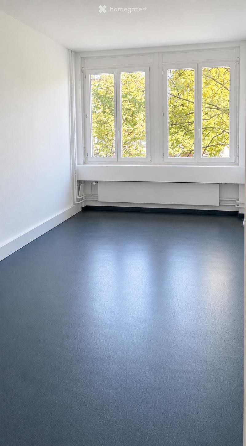 Empty room with dark blue walls and floor, large windows with white frames, radiator below windows, no furniture or equipment.