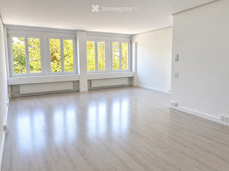 Empty room with light wooden flooring, white walls, large windows with white frames, and radiators beneath the windows.