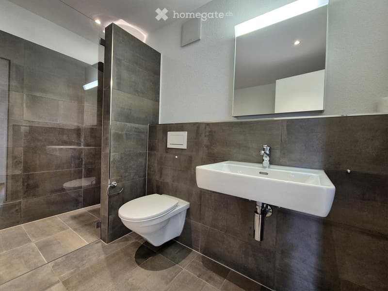 Modern bathroom with a white toilet, white sink, large mirror, and dark tiled walls.