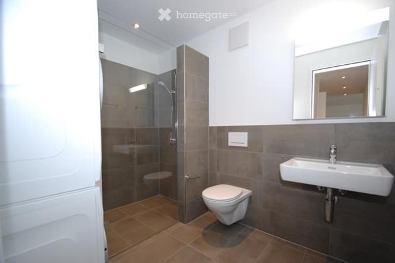 Modern bathroom with a white toilet, white sink, large mirror, and a glass-enclosed shower with brown tiles.
