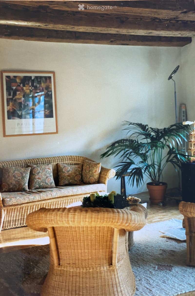 A cozy living room with a wicker sofa, patterned cushions, a wicker coffee table with a decorative centerpiece, a wicker armchair, a tall potted plant, and a picture frame on the wall.