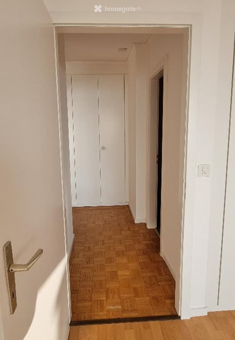 A narrow hallway with light wooden flooring and white walls, featuring a closed white door at the end and a visible light switch on the right wall.