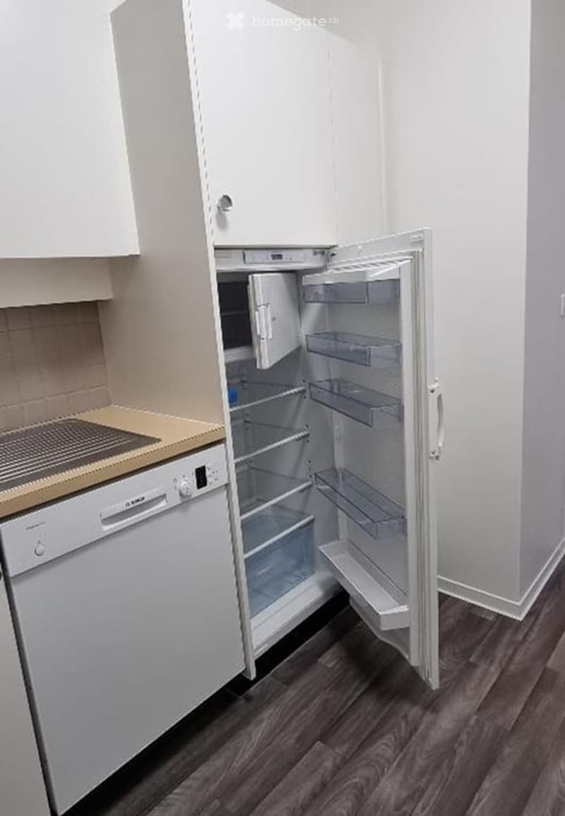 Modern kitchen with white cabinets, a stainless steel refrigerator, and a dishwasher. The refrigerator door is open, revealing empty shelves.