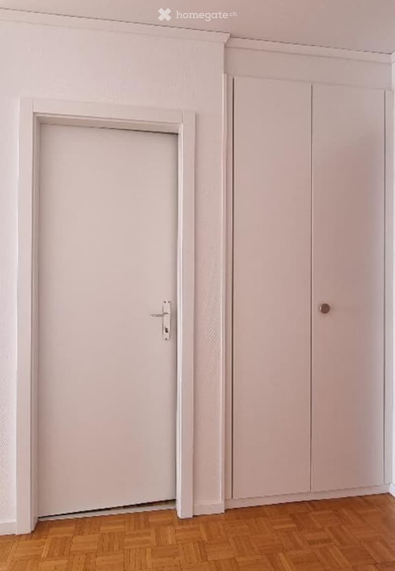 Empty room with light-colored walls, wooden floor, a closed door, and a built-in closet with a single handle.