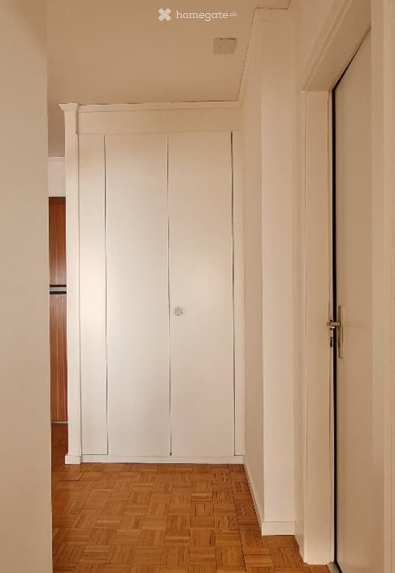A clean, modern hallway with light-colored walls, wooden flooring, and a large white closet with double doors.