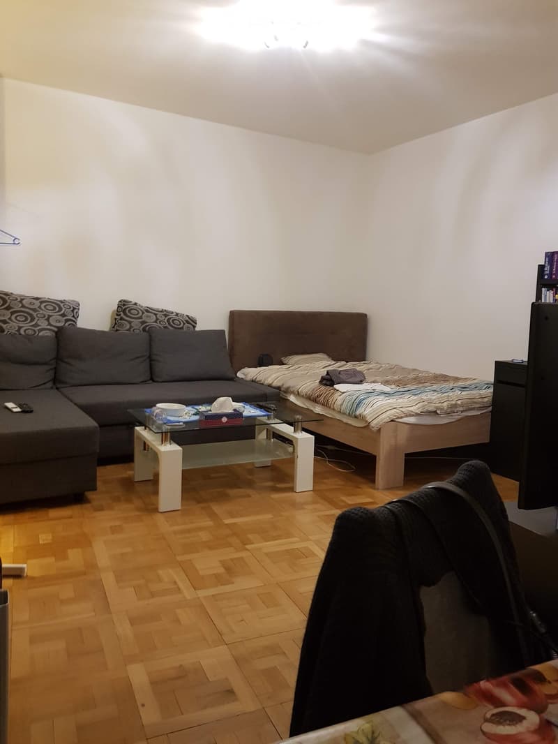 A compact, well-lit living space with a sofa, coffee table, bed, and bookshelf, featuring wooden flooring and white walls.
