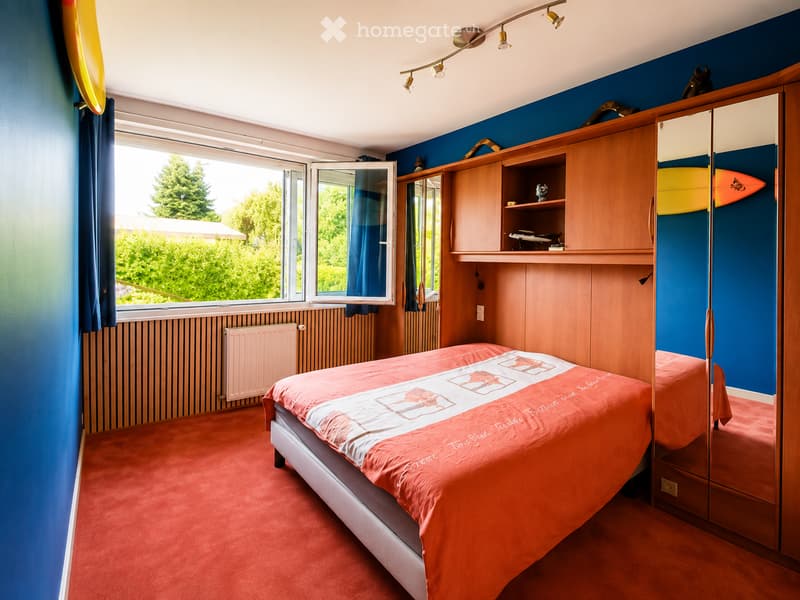Bright bedroom with two single beds, red carpet, blue walls, large windows with blue curtains, built-in wardrobe with shelves, and a mirror.