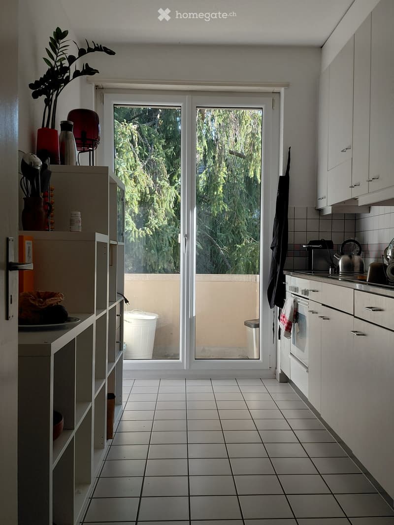 {"type": "Kitchen", "objects": ["oven", "teapot", "cupboard", "faucet", "oven mitt", "towel", "cupboard", "oven", "teapot", "faucet", "oven mitt", "towel", "cupboard", "cupboard", "cupboard", "cupboard", "cupboard", "cupboard", "cupboard", "cupboard", "cu