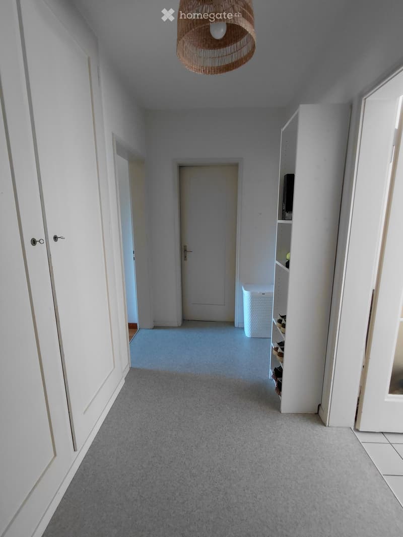 Clean, narrow hallway with grey carpet, white walls, and a hanging woven light fixture. Features a built-in shoe rack and a closed door at the end.