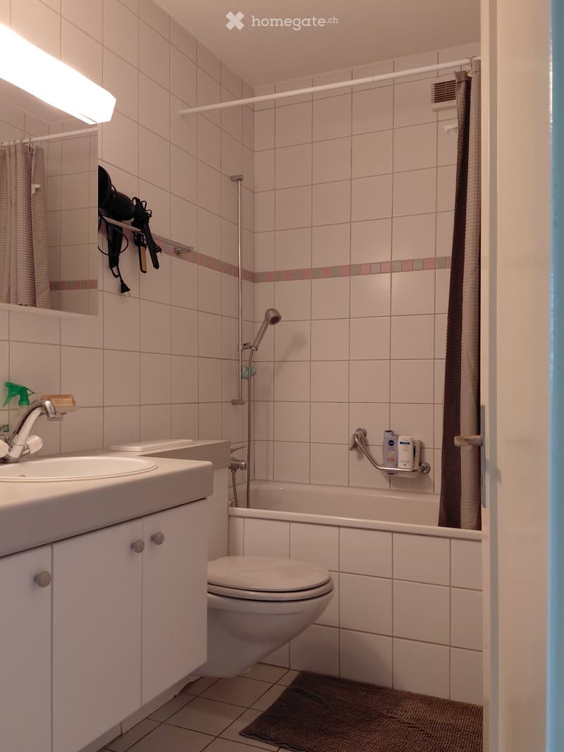 A small bathroom with a sink, toilet, bathtub, and shower area. The walls are tiled in light beige with a decorative border. A hair dryer is mounted on the wall, and a bottle is placed on the edge of the bathtub.