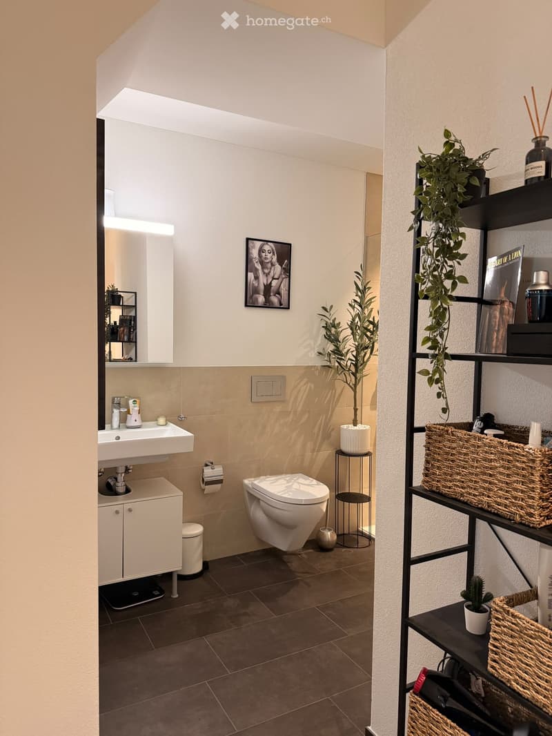 Modern bathroom with a white sink, toilet, mirror, and cabinet. Features include a potted plant, a black shelving unit with baskets, and a framed picture on the wall.