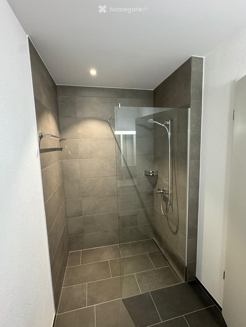 Modern bathroom with a glass-enclosed shower stall, tiled walls and floor, and multiple showerheads.