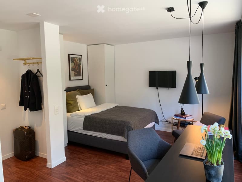 A modern, furnished room with a bed, a chair, a table with a laptop and a potted plant, a television, a suitcase, and a picture frame on the wall.