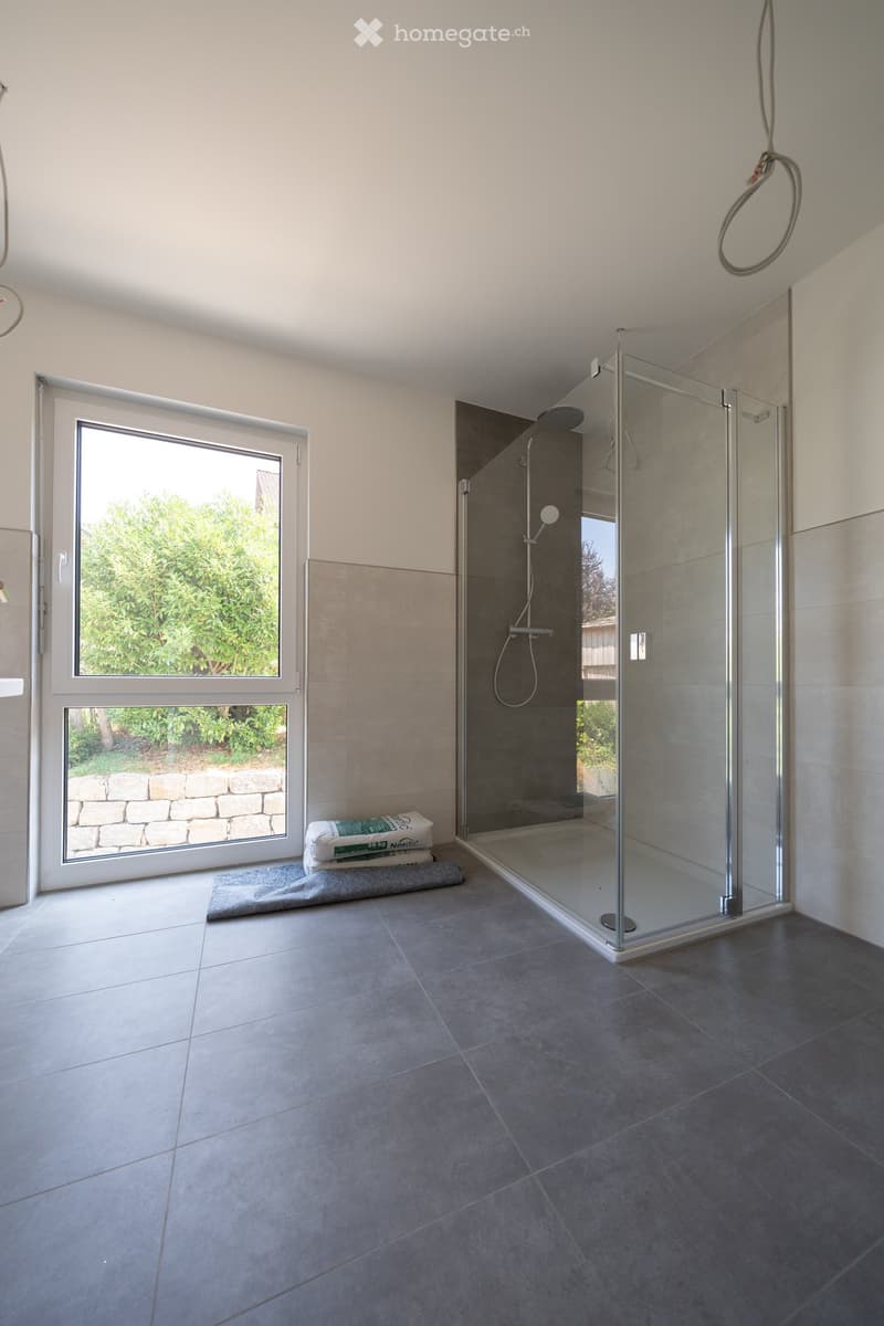 Modern bathroom with large window, glass shower enclosure, dark tiles, and a grey mat on the floor.