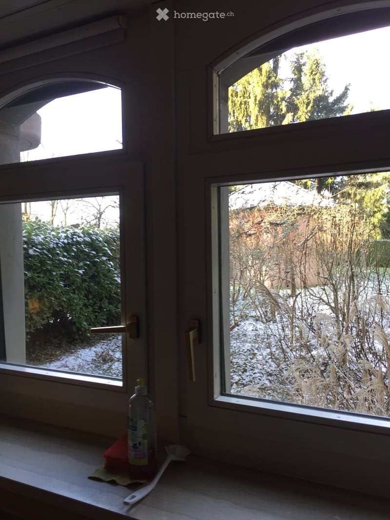 Window view of a snowy garden with trees and bushes, with cleaning supplies on the windowsill.