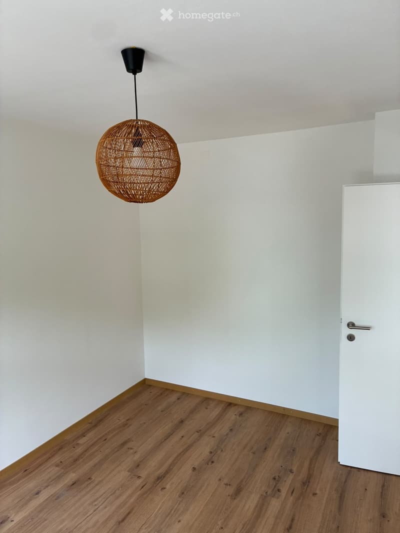 Empty room with light-colored walls, wooden flooring, and a single hanging woven light fixture.