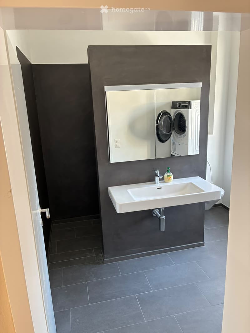 Modern bathroom with a white sink, dark grey tiles, a mirror cabinet, and a washing machine in the corner.