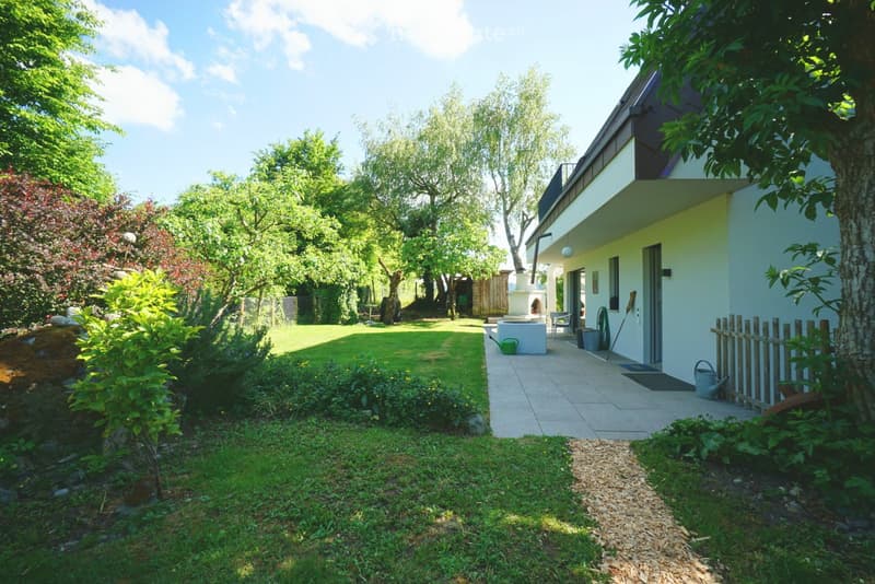 Garden with a well-maintained lawn, various plants, a small water feature, and a patio area adjacent to a modern house.