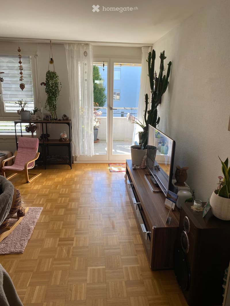 Bright living room with wooden flooring, large windows, and a balcony. Features a sofa, chair, coffee table, television, speakers, and several plants.