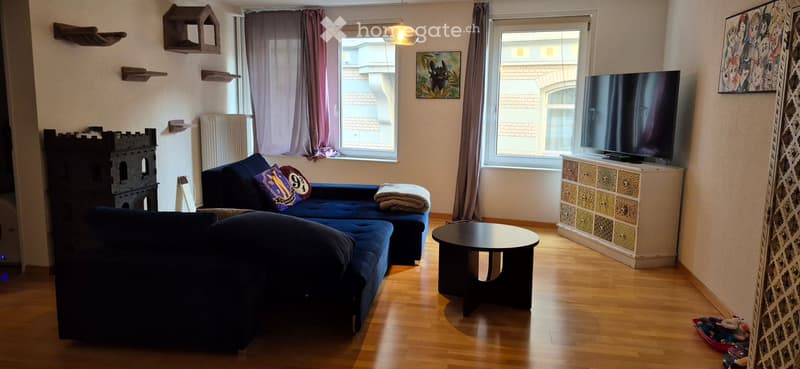 Modern living room with wooden flooring, large windows, blue sectional sofa, coffee table, TV, and decorative cat tree.