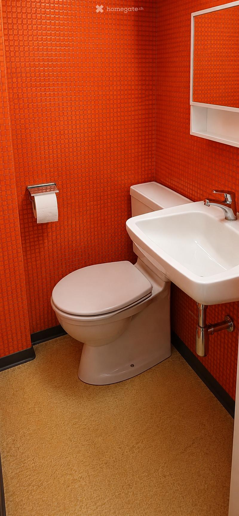 Bathroom with orange tiled walls, a toilet, a sink with a chrome faucet, a mirror, and a toilet paper holder.