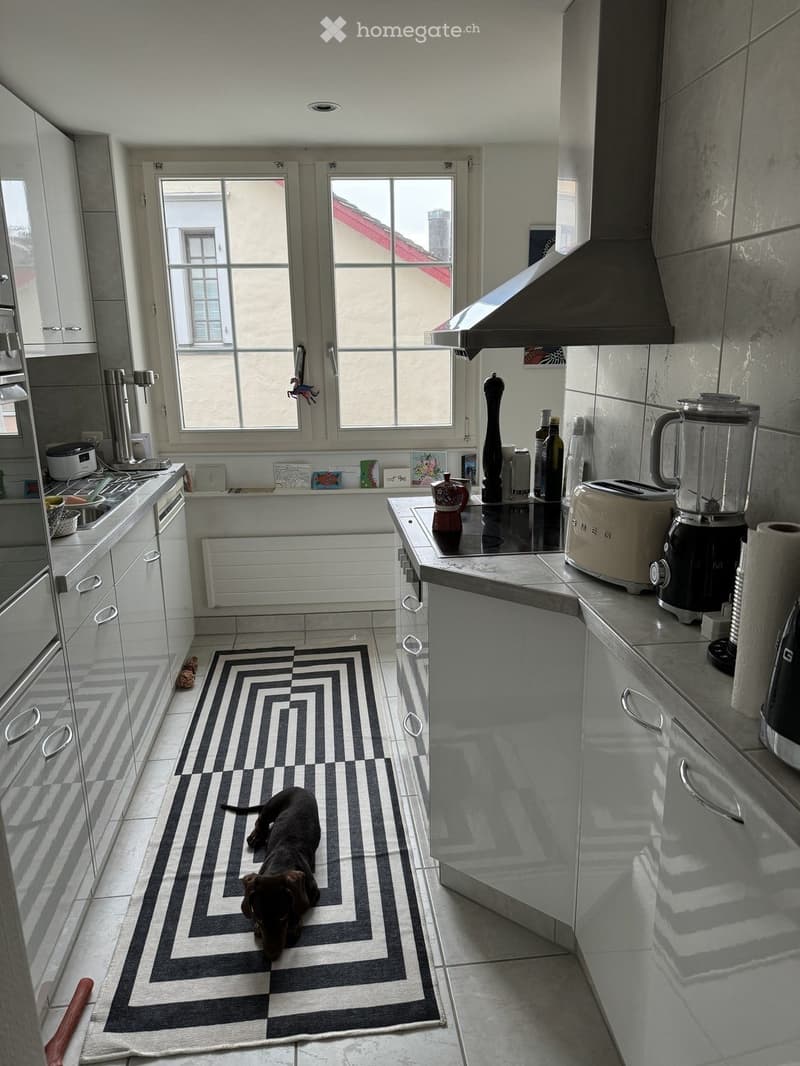 Modern kitchen with white cabinets, stainless steel appliances, and a black and white patterned rug. A dog is lying on the rug.