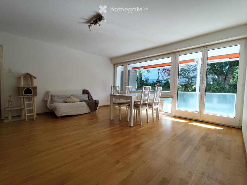 Bright living and dining area with wooden flooring, large windows, a sofa, a cat tree, and a dining table with chairs.