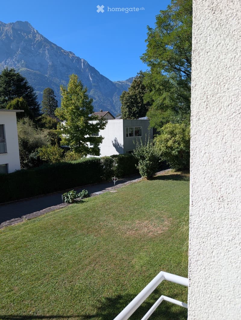 Well-maintained lawn with surrounding trees and shrubs, with a view of mountains in the background.