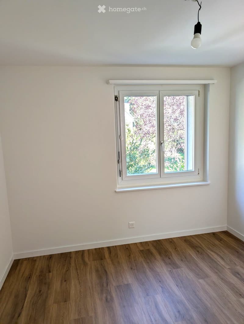 Empty room with light-colored walls, wooden flooring, and a large window with white frames. A single light fixture hangs from the ceiling.