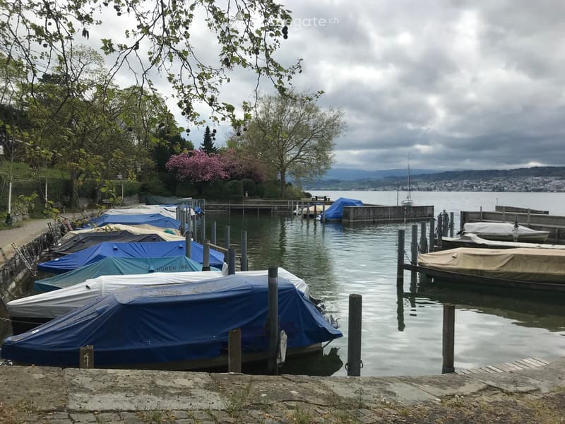 A lakeside dock with several covered boats, wooden planks, and a view of the lake and distant mountains.