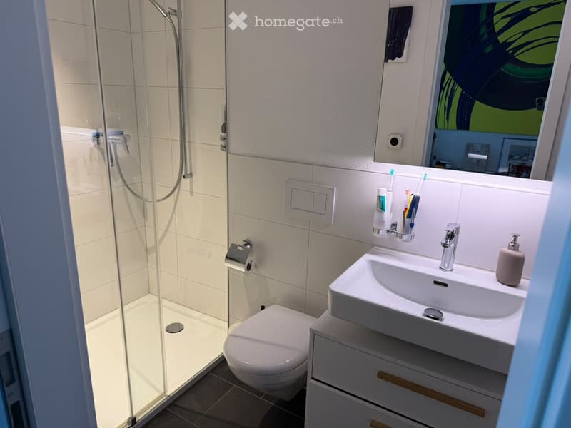 Modern bathroom with a white sink, chrome faucet, toilet, glass-enclosed shower, and a mirror above the sink. Toothbrushes and a soap dispenser are visible on the sink counter.
