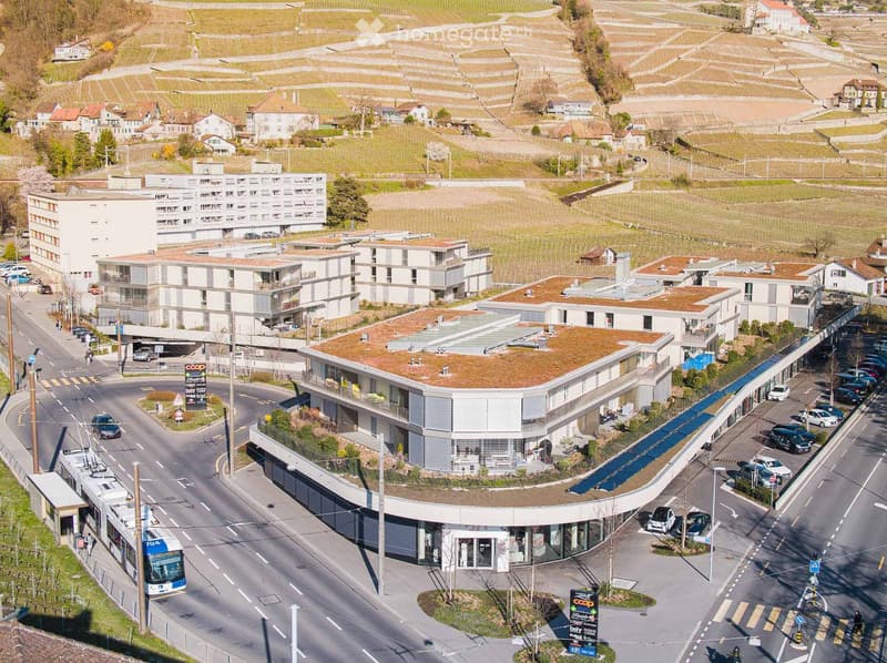Aerial view of a modern residential complex with multiple buildings, green roofs, parking areas, and surrounding vineyards.