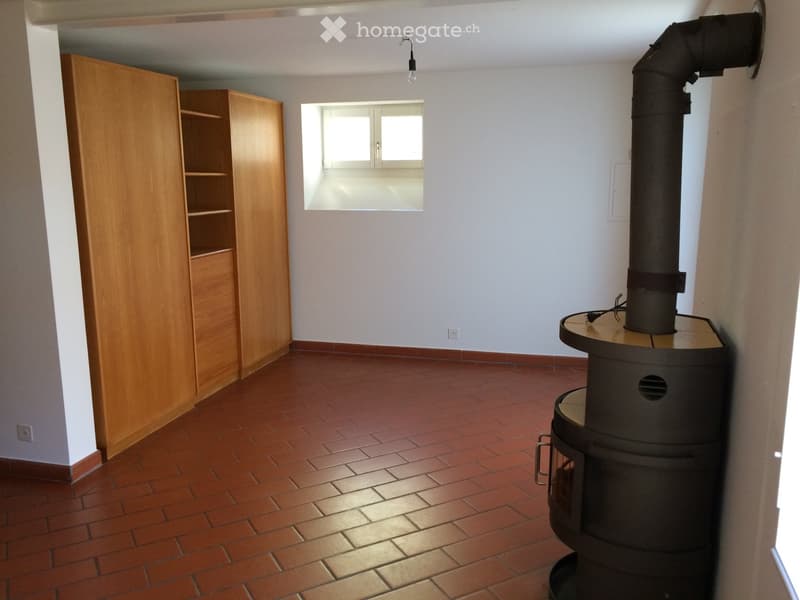 Empty room with red brick floor, white walls, wooden cabinet, and a wood-burning stove with a chimney.