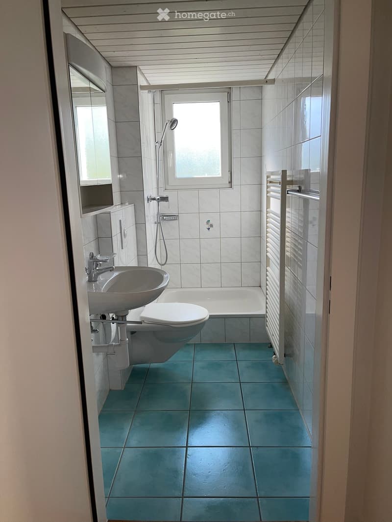 Modern bathroom with blue tiles, white fixtures, a bathtub, toilet, sink, showerhead, radiator, and a mirrored cabinet.
