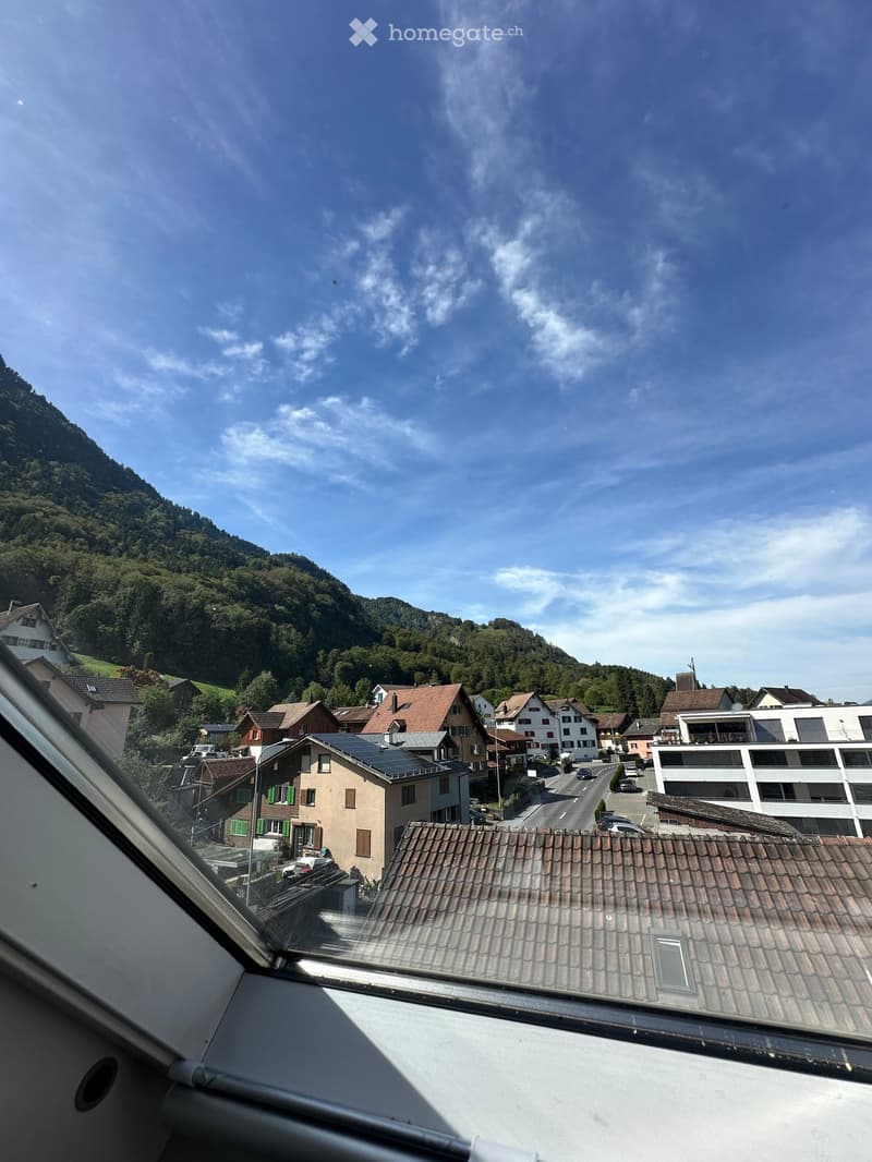 View from a balcony showing a village with houses, a road, and a forested mountain in the background under a clear blue sky.
