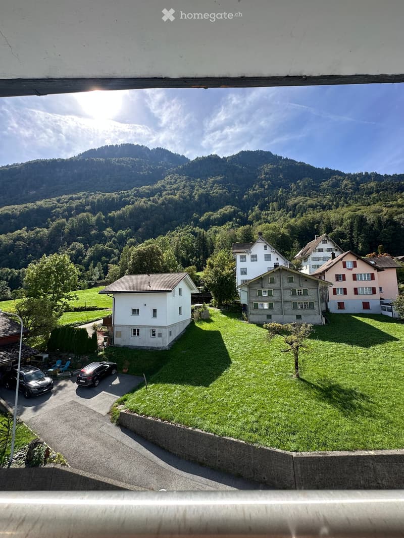 View from a balcony showing a green lawn, several houses, parked cars, and a mountainous landscape in the background.