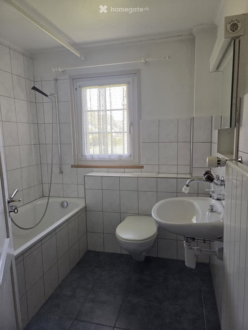 Bathroom with a bathtub, toilet, sink, and shower hose. The room features tiled walls and a window with a frosted glass pane.