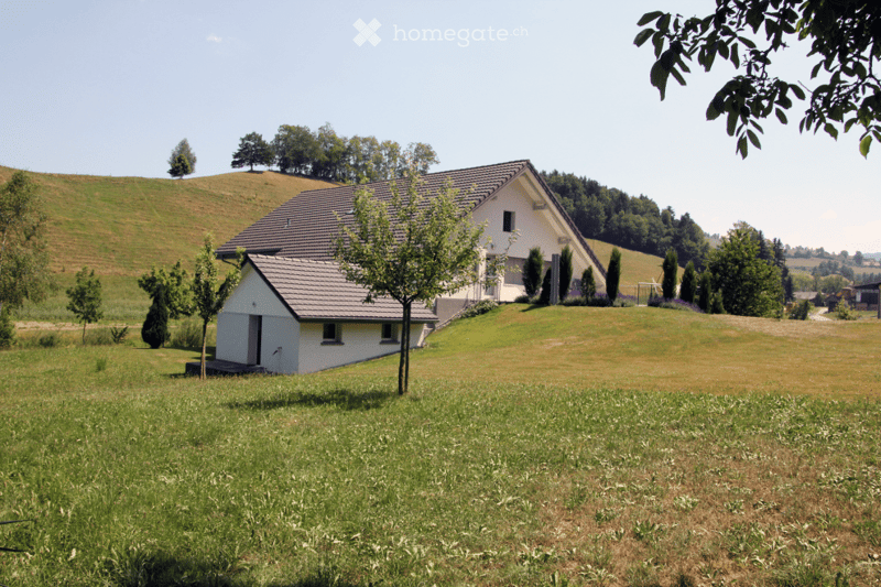 House on a hill, white walls, grey roof, surrounded by lush greenery