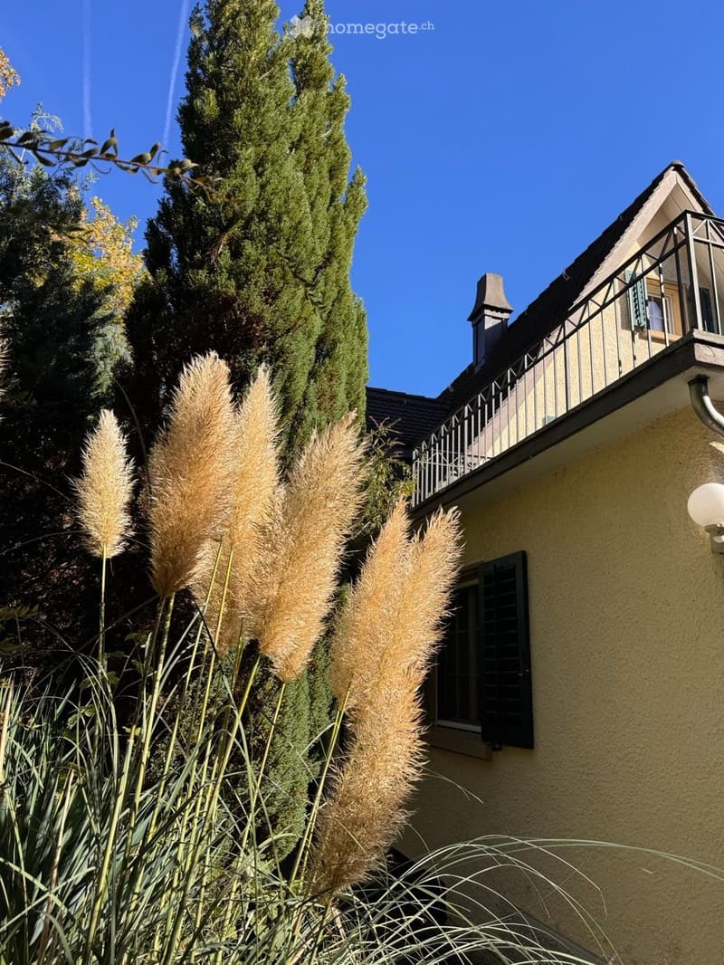 A well-maintained garden area with tall, feathery plants in the foreground and a house with a balcony and a chimney in the background.