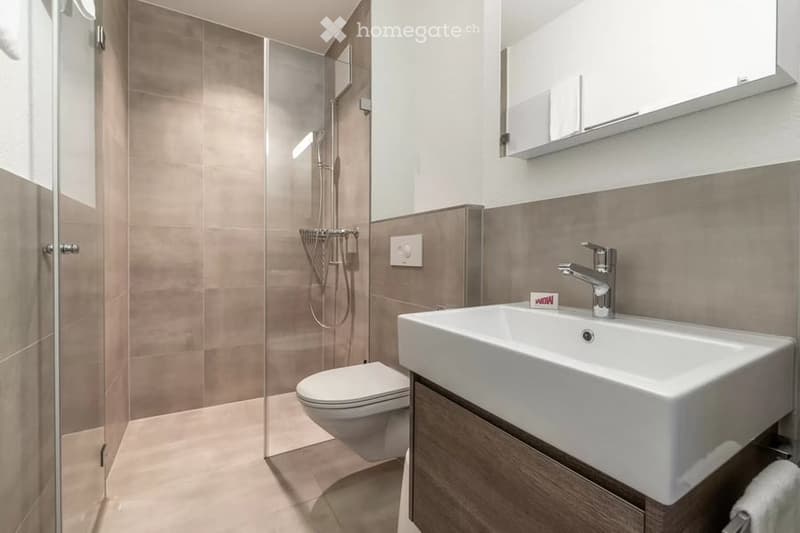 Modern bathroom with a white sink, toilet, and glass-enclosed shower. Features a sleek faucet, a mirror above the sink, and a modern showerhead.